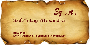 Szántay Alexandra névjegykártya